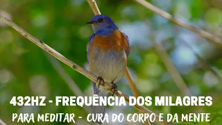 432 HZ - Frequência Dos Milagres - Cura do Corpo e da Mente