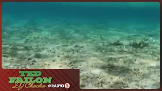 Dapat managot ang China sa pinsala sa mga bahura sa Pag-asa Island —PCG | #TedFailonandDJChaCha