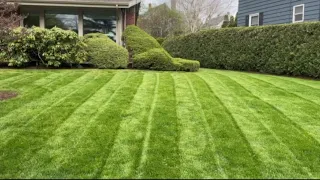 Trimming up that lawn