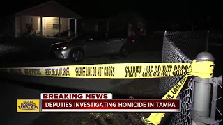 Homicide investigation underway after man found dead at Tampa home