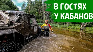 В гостях у Кабанов, Ульяновск