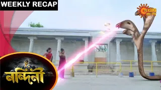 Nandini - Weekly Recap | 11 Apr - 18 Apr 2021 | Sun Bangla TV Serial | Bengali Serial