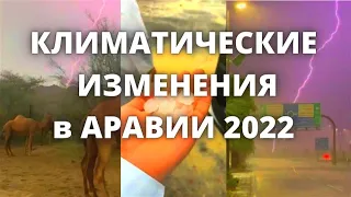 В Саудовской Аравии сильнейшие грозы и наводнения