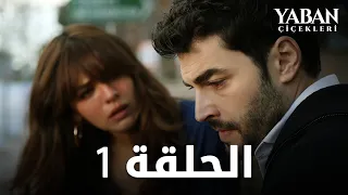 الأزهار البرية - الحلقة 1  (مترجم بالعربية) - Yaban Çiçekleri   @YabanCicekleriArabic