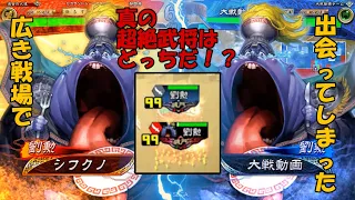 【三国志大戦】武力99 vs 武力99