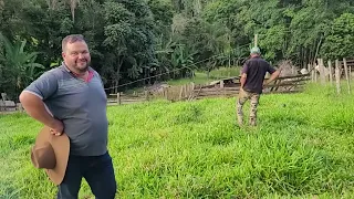 🍀🧑‍🌾 SÍTIO 8Ha FORMADO MUITO BARATO COM CASA BOA - NO SUL DE MINAS - REGIÃO DE POUSO ALEGRE MG🍀🧑‍🌾