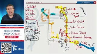 MAPAS MENTALES I - NEUROLOGÍA