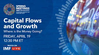 Capital Flows and Growth: Where in the money going?