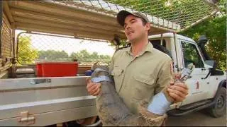 Outback Wildlife Rescue Episode 12