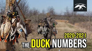 Louisiana Duck Report w/ Justin Martin | The Duck Numbers 2020