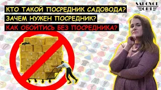 💰 Как обойтись без 🤝 ПОСРЕДНИКА 🤝 РЫНКА САДОВОД❓ | Маша Копытина [sadovodopt]