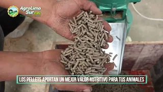 Máquinas para obtener alimentos balanceados - Agrolima Sur #peru