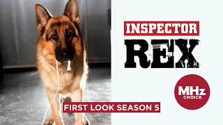 First Look: Inspector Rex (Season 5)