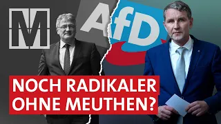 AfD nach Meuthen: extrem rechts angekommen - MONITOR