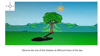 sun and shadow