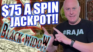 High Limit Black Widow Slot Session 🕷️ Max Betting $75 Spin & Hitting Jackpots!