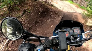 1999 KLR 650 vs 2022 KLR 650 off roading, pushing through deep mud and more