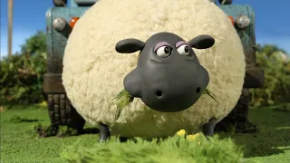 Shaun the Sheep season 2 episode 27