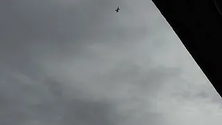 F-35 eskorteret af F-16 over Odense SØ (1/10 2023)