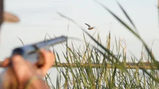 North Dakota Public Land Solo Duck Limit