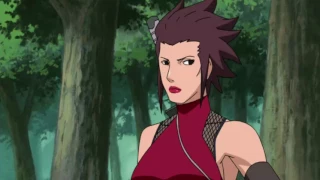 Naruto Shippuden Episode 235 Bahasa Indonesia