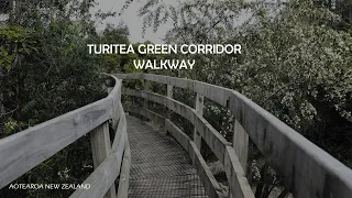 Turitea Green Corridor Walkway  -  Palmerston North, Manawatu, New Zealand