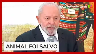 Lula fala sobre resgate de 'cavalo caramelo' de telhado no RS: 'Ontem fui dormir inquieto'