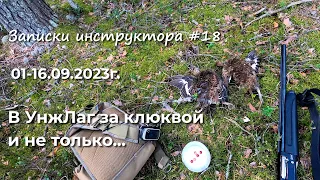 Записки инструктора #18. Сезон 2023г. В УнжЛаг за клюквой. 16 дней в тайге.