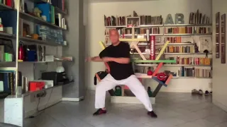 Hung Kuen - Sei Ping Mah as taught by master Chan Hon Chung