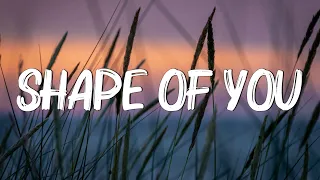 Shape of You - Ed Sheeran (Lyrics) || Charlie Puth, Shawn Mendes, Ellie Goulding (Mix)