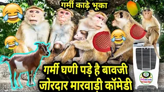 देसी जानवरो की गर्मी स्पेशल मारवाड़ी कॉमेडी 2022 | Summer Special Best Funny Marwadi Dubbing Comedy