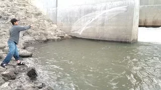 Cast Net Fishing in Spillway. EP 27