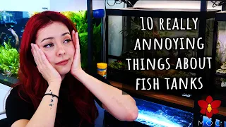 10 annoying things about having aquariums.. part 1!