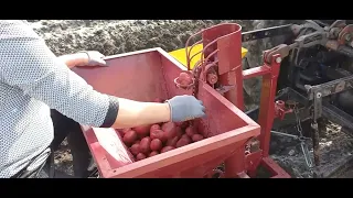 Картофелесажалка часть 3  финальная  посадка картофеля