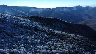 Snow washed Mt. Mitchell North Carolina