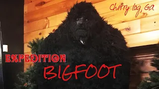 EXPEDITION BIGFOOT - Sasquatch Museum