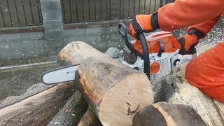 STIHL MS 261M-Tronic, 4,1 HP. Cut wood.