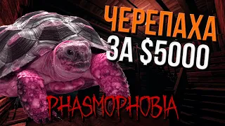 СТАЛА ЧЕРЕПАХОЙ ЗА $5000! ОСОБЫЙ РЕЖИМ ▷ PHASMOPHOBIA