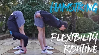 Beginner Hamstring Flexibility Routine