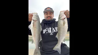 California Aqueduct | Striper Fishing With Cut Bait