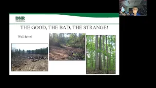 Forest Management and Selling Timber May 26, 2021