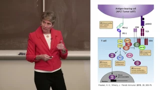Fall 2016 Stanford Biology Chemistry Colloquium: Professor Carolyn Bertozzi, Stanford University