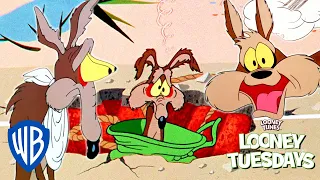 Looney Tuesdays | Top 10 Biggest Coyote Fails | Looney Tunes | @WB Kids