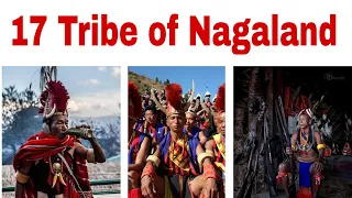 17 TRIBE OF NAGALAND