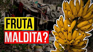 🍌Conheça a empresa que ARRUINOU um CONTINENTE | Lucrou BILHÕES e só deixou POBREZA…😨