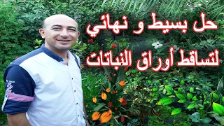 أسباب و علاج تساقط أوراق النباتات, حل مشكلة تساقط الاوراق,The reason and Treatment of Leaves Falling