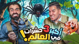 تحدي المعلومات - عالم الحشرات ! 🦂 🕷️ 🪲