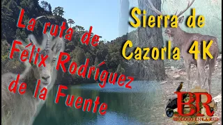 Cazorla Salvaje 4 K. La Ruta de Félix Rodríguez de la Fuente.