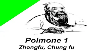 Polmone 1, meridiano polmone, atlante di agopuntura, corso di agopuntura, zhongfu, p1, chung fu