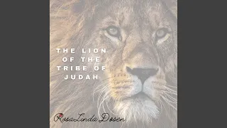 The Lion Of The Tribe Of Judah